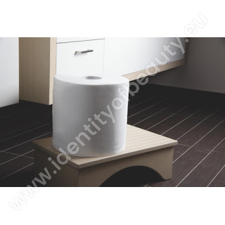 Papierové utierky z celulózy v rolke 22 cm x 60 m Papierové utierky z celulózy v rolke 22 cm x 60 m